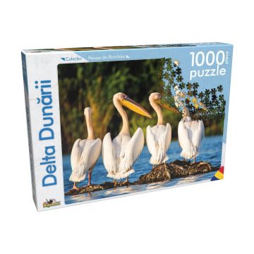 Puzzle clasic Noriel - Delta Dunarii, 1000 piese