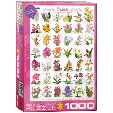 Puzzle 1000 piese Eurographics Orchids