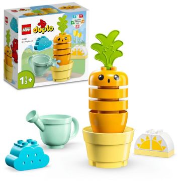 Lego Duplo Kit de cultivare al morcovului 10981