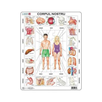 Larsen - Puzzle educativ Corpul nostru , Puzzle Copii , Maxi, Orientare tip portret, In romana, piese 35