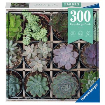 Puzzle Plante Suculente, 300 Piese