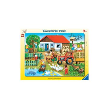 Puzzle Unde Sa Il Asez, 15 Piese
