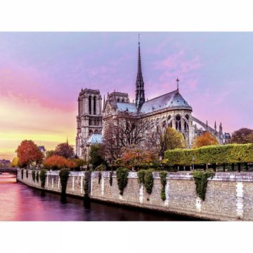 Puzzle Ravensburger Pictura Notre Dame