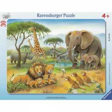 Puzzle Ravensburger - Africa Salbatica