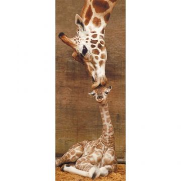 Puzzle Ravensburger Primul Sarut - 1000 piese