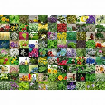 Puzzle 99 De Plante Si Condimente, 1000 Piese