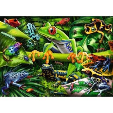 Puzzle Broscute, 35 Piese