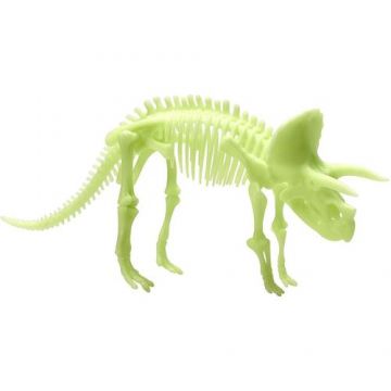 Schelet Triceratops reflectorizant