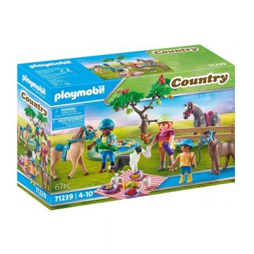 Playmobil PM71239 Picnic Cu Calutii