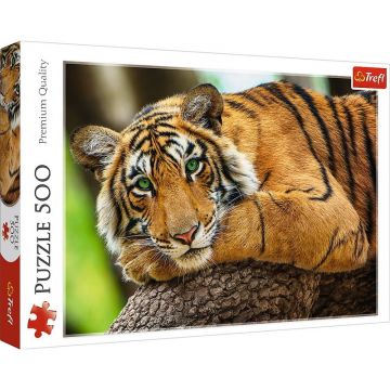 Trefl - PUZZLE 500 PORTRETUL TIGRULUI