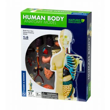 Kit STEM Anatomia corpului uman