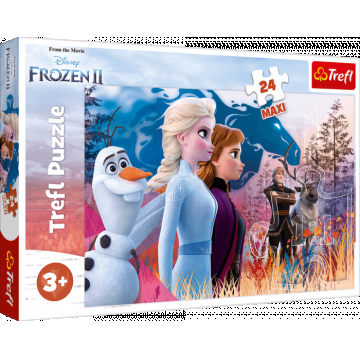 Puzzle carton 24 piese Frozen2 Magical journey,+3 ani