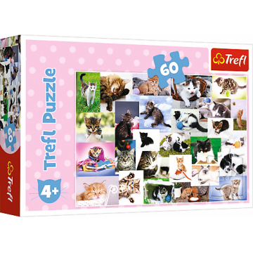 Puzzle carton 60 piese Lumea pisicilor,+4 ani