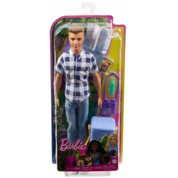 Barbie papusa ken la picnic
