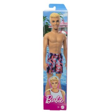 Barbie Papusa Ken la Plaja