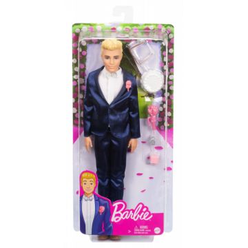 Barbie Papusa Ken Mire