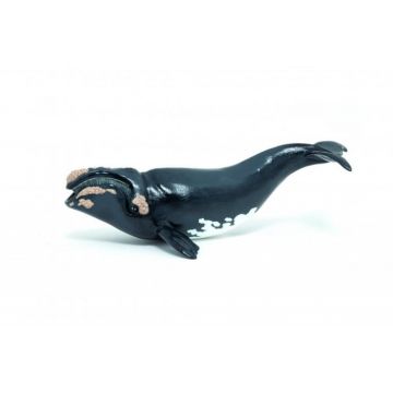 PAPO - Figurina Balena