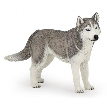 PAPO - Figurina Husky Siberian