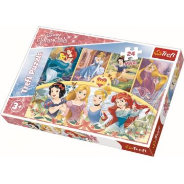 Puzzle Trefl 24 Maxi Amintiri Magice