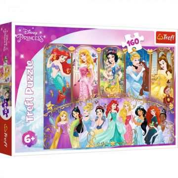 PUZZLE 160 Portretele Printeselor