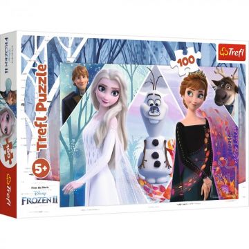 Puzzle Trefl 100 Frozen, Taramul Incantator
