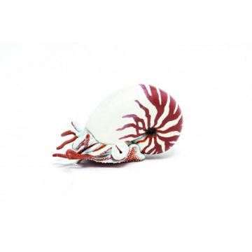 PAPO FIGURINA NAUTILUS