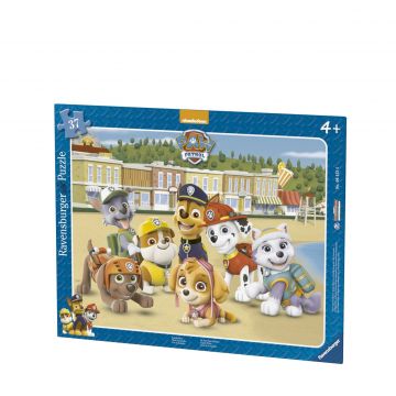 Paw patrol
