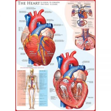 Puzzle 1000 piese The Heart