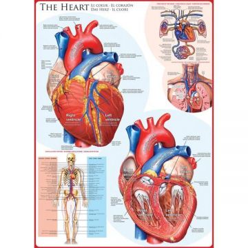 Puzzle 1000 piese The Heart