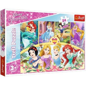 Puzzle 24 maxi. Amintiri magice