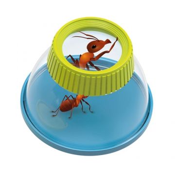 Insectolupa Buki France