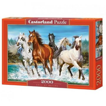 Puzzle 2000 Pcs - Castorland, 7Toys