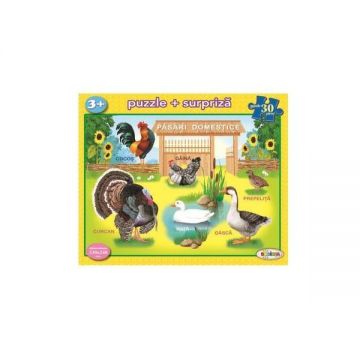 Puzzle - Pasari domestice