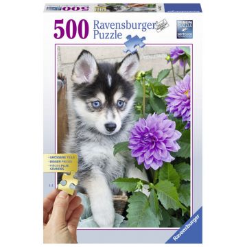 Puzzle Catel Husky 500 piese Ravensburger
