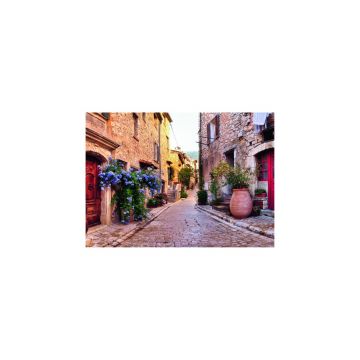Puzzle adulti si copii Franta 1000 piese Ravensburger