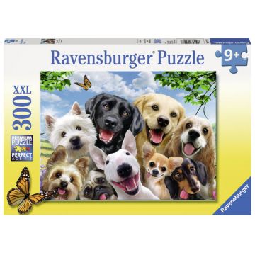Puzzle Cateii incantati 300 piese Ravensburger