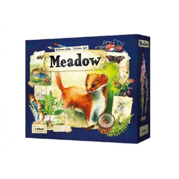 Meadow (RO)