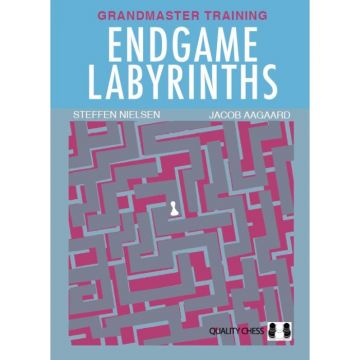 Endgame Labyrinths (Hardcover)