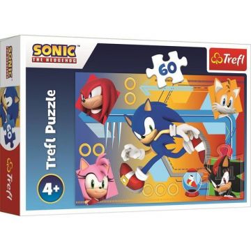 Puzzle 60. Sonic in actiune