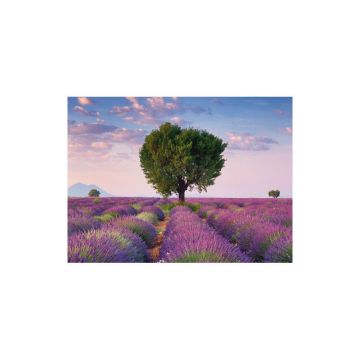 Ravensburger - Puzzle Valensole Franta, 500 piese