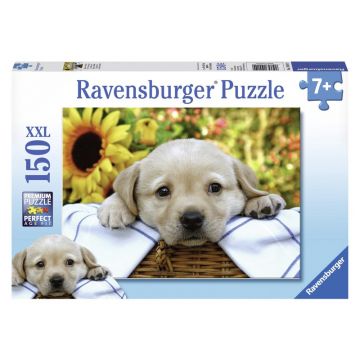Ravensburger - Puzzle Catelus in cos de picnic, 150 piese