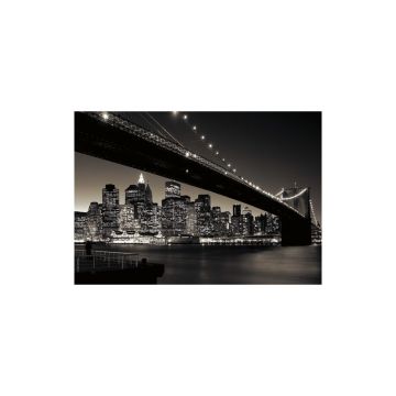 Ravensburger - Puzzle Podul Manhattan & Brooklyn, 1000 piese