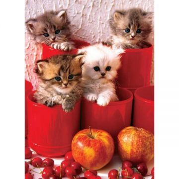 Puzzle 1000 piese Kittens in Pots