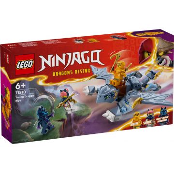 LEGO® Ninjago - Tanarul dragon Riyu (71810)