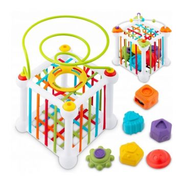 Cub educational cu diverse forme Ricokids RK-759