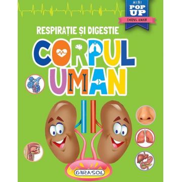 Corpul uman Girasol Respiratie si digestie
