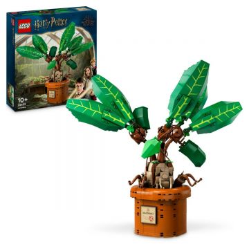 LEGO Harry Potter: Matraguna 76433, 579 piese
