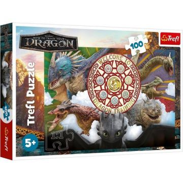 Puzzle 100: Cum sa iti dresezi dragonul. Dragoni in actiune