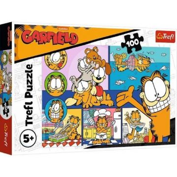 Puzzle 100: Lenesul Garfield
