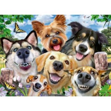 Ravensburger - Puzzle selfie cu catelusi 500 piese design nou Ravensburger - Puzzle selfie cu catelusi 500 piese design nou